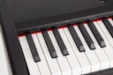 Портативное цифровое пианино M-tunes mtP-55bk Black