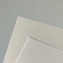 Черные боцийские птицы Польши графика из старого атласа птиц 21x30 (A4)