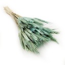 Сушеный Тритикале – Мята