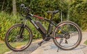 Женский/мужской электрический велосипед 26 дюймов, 250 Вт, 80 км, MTB