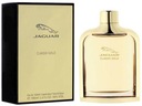 Jaguar Classic Gold (M) edt 100 мл Оригинал