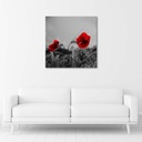Obraz na plátne, Červené vlčie maky a obilie - 40x40 Výška produktu 40 cm