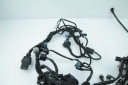 KAWASAKI Z 1000 SX 20-24 WIRE SET HOME  photo 7