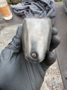 IZ49 ORIGINAL LIGHT BULB STOP REAR  photo 9