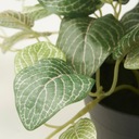 IKEA FEJKA Sztuczna roślina w doniczce mozaika wiszący 17 cm EAN (GTIN) 0040571677003