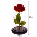 Večná ruža v skle Svietiaci darček LED krabica červená + okvetné lístky ruže Kód výrobcu 21619