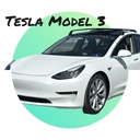 Багажник на крышу для TESLA Model 3 2017-
