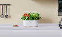 Extralink Smart Garden | Inteligentna doniczka | Wi-Fi, Bluetooth Kolor biały
