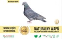 Prírodný vápenec pre holuby posilňuje vitamíny MÚKA Značka Alvanaeko