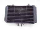 RADIATEUR CAPTEUR GRILLE HONDA CB1 400 F NC27 89-91Rphoto 5