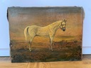 Obraz olejny &quot;Biały koń&quot; Marian Osiecki