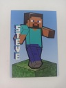 Блок-карта Minecraft Panini TC — 154 — Стив