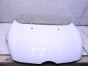 CAPOT FORD FIESTA MK6 VI H9photo 12