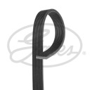COURROIE CALE GATES 8DPK1445 LAND ROVER RAN 8DPK1445 GAT GATESphoto 8
