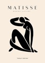 MATISSE женщина бежевый черный ПОСТЕР 50x70см #614