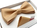 МУЖСКОЙ ГАЛСТУК-БАБОЧКА ЗОЛОТОЙ / МУЖСКОЙ ГАЛСТУК-БАБОЧКА + КАРМАННАЯ ВЕРСИЯ