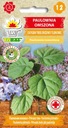 PAULOWNIA OMSZONA DRZEWO TLENOWE- CESARSKIE DRZEWO EAN (GTIN) 5907595504607