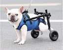 Invalidný vozík pre psov na zadné nohy, pre zviera Značka žiadna značka