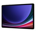 Tablet Samsung Tab S9+ 12,4&quot; 12 GB / 512 GB sivý Model tabletu inny