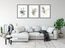 Триптих набор постеров цветы растения графика ботаника зеленый 3 шт. 13x18см