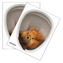 ГОРШОК ДЛЯ БЕЛКИ-ТУАЛЕТА