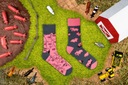 Farebné ponožky SPOXSOX Prasiatka 36-39 Počet kusov v súprave 1