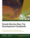 Руководство по разработке Oracle Service Bus 11g — электронная книга