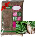 РЕДИС МАСЛЯНЫЙ РОМЕСА 25КГ С/1 СЕМЯ КВАЛИФИКАЦИЯ