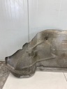 PORSCHE BOXSTER 986 1998 ЗАХИСТ ТЕПЛОВА ТРУБИ ВИПУСКНОЇ 98650460501  фото 6