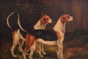 Poľovné psy - Beagle - Pes - Olejomaľba - Zlatý rám 42x37 Výška produktu 37 cm