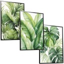 30x40 набор фотографий в рамке бокс MONSTER TROPPIC PALMA BANANANA