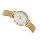 ZEGAREK DAMSKI DANIEL WELLINGTON DW00100350 ZŁOTY Petite Evergold 28mm +BOX