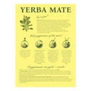 Стартовый набор для Yerba Mate Yaguar Gourd + Bombilla