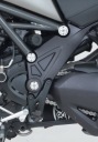 RG RACING FI0066SI фото 2