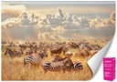 ПЕЙЗАЖНЫЕ ФОТОБОИ ДЛЯ СПАЛЬНИ ЖИВОТНЫЕ АФРИКА