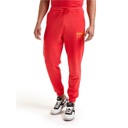 Спортивные брюки DIADORA PANT MANIFESTO