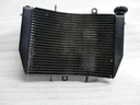 Tight Straight RADIATOR Triumph Speed ​​Triple
