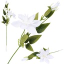 ИСКУССТВЕННЫЙ КЛЕМАТИС БЕЛЫЙ ЦВЕТОК 60см ГОВОРЯЩИЙ ЦВЕТОК И ЛИСТЬЯ ДЛЯ БУКЕТОВ КРЕМОВЫХ