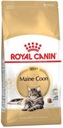 Royal Canin Maine Coon Adult karma sucha dla kotów dorosłych rasy maine ...