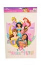 FOLIA DEKORACYJNA NA OKNO DISNEY KSIĘŻNICZKI