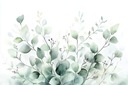 FOTOTAPETA FLIZELINA AKVARELOVÁ RASTLINA EUKALYPTUS LISTY BOHO 208x146 lepidlo