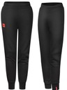 МУЖСКИЕ СПОРТИВНЫЕ БРЮКИ VIGGEN CAMPUS - 2XL