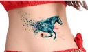 ЛОШАДЬ Бабочки Водная татуировка с Лошадью в стиле БОХО 119
