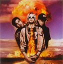 NIRVANA: LIVE (BOX) (10CD) 15835142509 - Sklepy, Opinie