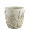 OSŁONKA KAMIENNA ŁĄKA AP