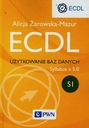 Программа использования базы данных ECDL, версия 5.0