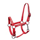 СТАРТ ILoveMyMini недоуздок для жеребенка красный FOAL