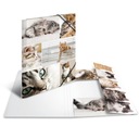 Папка картонная А3 на резинках Кошки