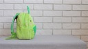 Маленький рюкзак для мальчика с именем талисмана динозавра, подарок на День защиты детей