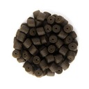 Coppens Black Halibut 14.0 z otworem stabil 10-20h